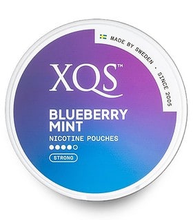 XQS - BLUEBERRY MINT