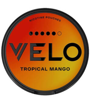 VELO-TROPICAL-MANGO-S5