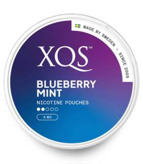 XQS-BLUEBERRY-MINT-S2
