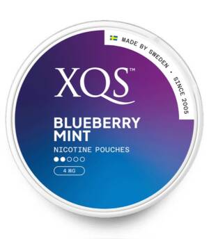 XQS-BLUEBERRY-MINT-S2