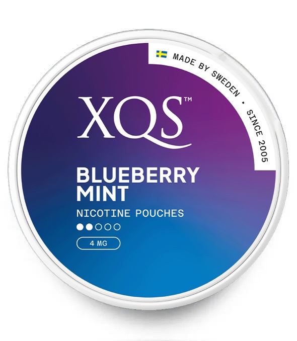 XQS-BLUEBERRY-MINT-S2