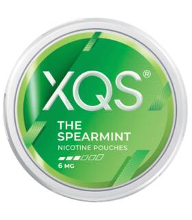 XQS-THE-SPEARMINT-6MG